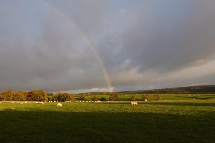 Countryside is coloured by the rainbow...