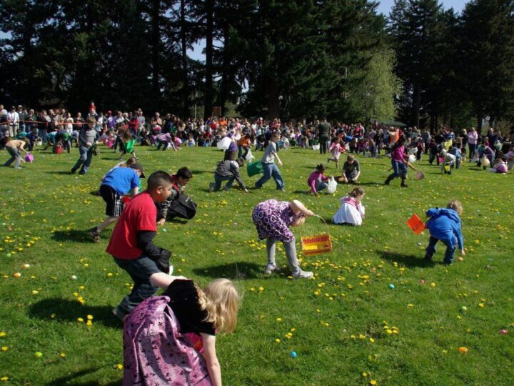 There are several Easter egg traditions. In the United Kingdom some business and attractions hold Easter egg hunts. These are competitions to see who can collect most eggs.