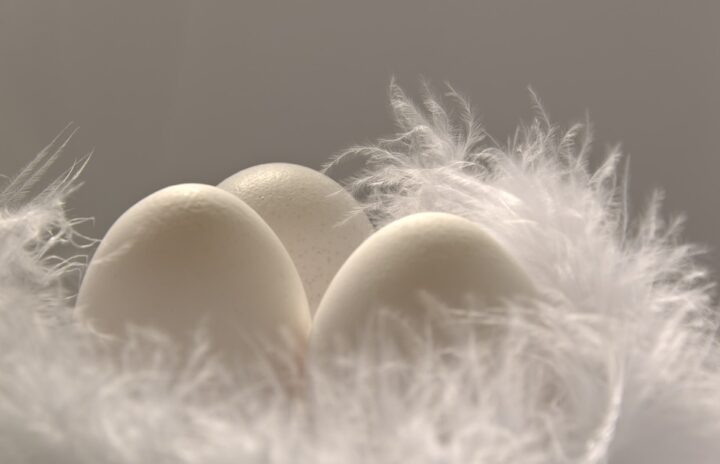 In Christian religion the egg is a symbol of rebirth, of new life: An egg, out of which a chick will be hatched.