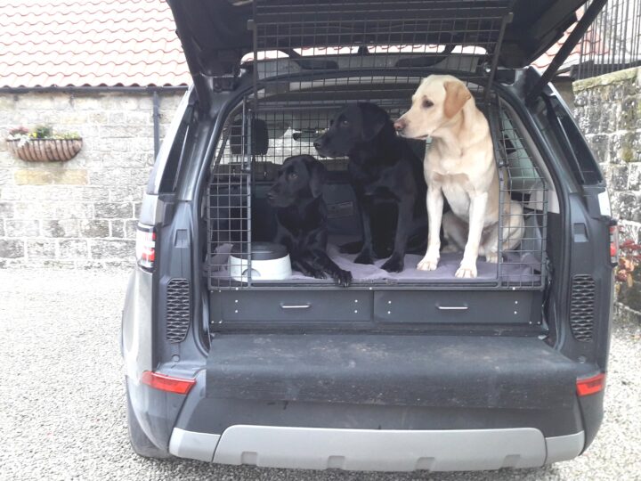 Ende September 2021 sind Claudia und Christoph endlich wieder in Whitethorn angekommen - nach "Bewältigung" von Formularen und Tests (sowohl für Mensch als auch für Hund)!