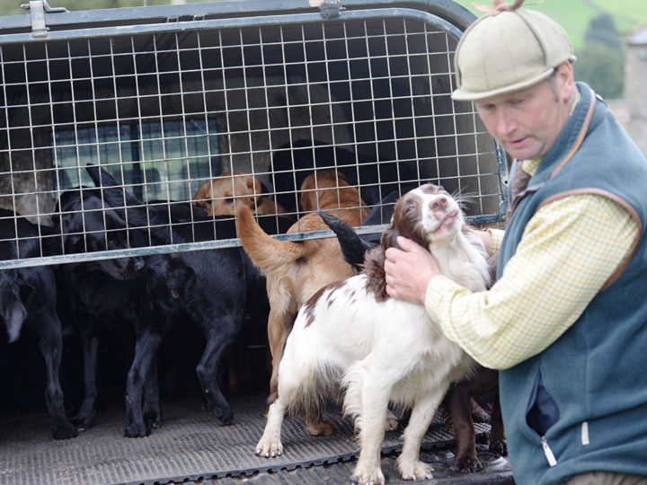 ...the picker-upers use four by fours and about 10 - 16 Dogs are sitting in the back! 